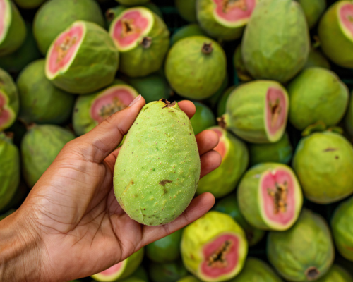 Guava